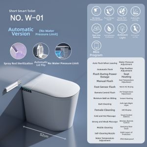 Automatic Intelligent Toilet 52cm