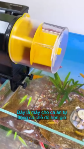Máy cho Cá Ăn Tự Động 2 chế độ cỡ nhỏ phù hợp các loại cám hạt nhỏ tặng kèm vòng giữ thức ăn