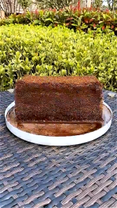 Organic Eco-Friendly Coconut Peat Compressed Coco Bricks Fiber Block Natural Soil