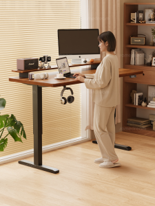SAMEDREAM | Electric Adjustable Solid Wood Desk