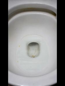 10PCS Toilet Portabel Anti Percikan Air Dewa / Kamar Mandi Deodoran Deodoran Bau Toilet Busa Busa Aromaterapi