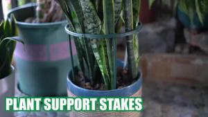 1/16pcs Plant Support Stake Flower Greenhouse Arrangement Fixing Rod Holder Stand Pile Indoor Flower Plant Vine Climbing Bracket