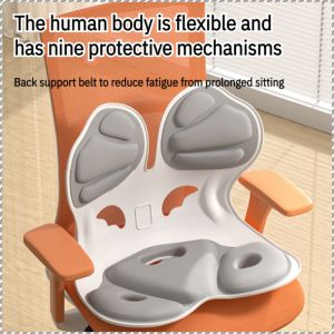 Ergonomic Posture Correction Chair Lumbar Support Back And Waist Support For Adlut Heightened Style