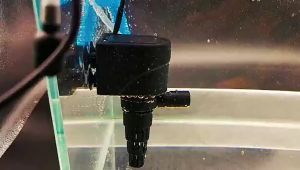 Promo Top Filter akuarium 3 in 1 free busa siap pakai