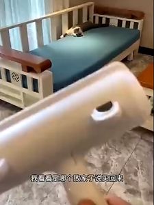 Pet Hair Remover Dust Lint Roller Remover Reusable Washable Puppy Cat Dog Furniture Clothes Cleaning Fur Lint Brush with Ears