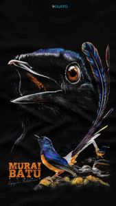 Bawara Kaos Gambar Murai Batu 01 Kaos Kicau Mania Indonesia Bahan Cotton Combed Nyaman Dipakai