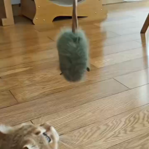 ของเล่นแมวตุ๊กตา บรรเทาความเบื่อหน่ายจําลองเมาส์ของเล่นแมว ความต้านทานการกัดนุ่มอัตโนมัติ Chirping Interactive ของเล่นแมว-D22