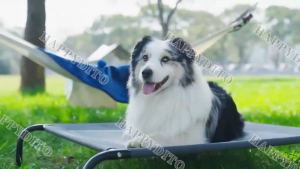 Pet Bed Dog Bed Elevated Washable Breathable Sofa Marching Dog Bed For Large Dog Pet Bed Elevated