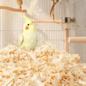 Parrot Specific Breeding Box Padding Wood Shavings Temperature Retention