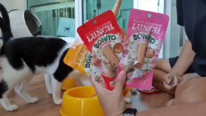 BONITO โบนิโต้ ขนมแมว ปลาทูน่าแท่งเกาหลี 20G 20ชิ้น