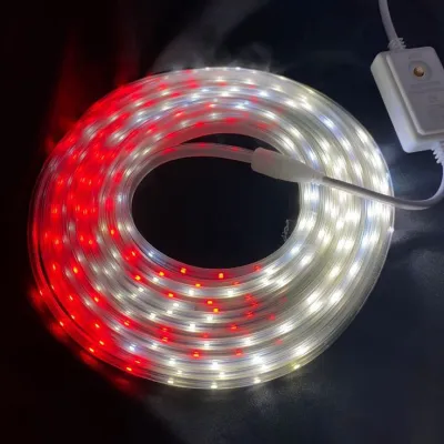 PAKET 20 METER LAMPU LED SELANG SMD 5050 220V 20M 15M 10M 5M METER Sudah Termasuk Soket Tinggal Langsung Pakai Lampu Dekorasi Plafon Lampu Hias Outdoor
