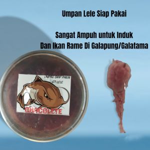 Umpan Siap Pakai Untuk Galatama Galapung Lele