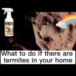 Quick Kill ZGO & Anay Termite Killer Sprays\\n\\n Understanding the Products\\n\\n ZGO Termite Killer Spray\\n\\nZGO Termite Killer Spray is a highly effective termite control solution designed to eliminate termites and disrupt their colonies. This product is easy to apply and provides long-term protection against termite infestations. With its powerful insecticide properties, ZGO Termite Killer Spray ensures a safe environment for both humans and pets.\\n\\n Anay Termite Killer for Wood\\n\\nAnay Termite Killer for Wood is another top-of-the-line termite control product that offers quick kill capabilities and long-term protection. This 500ml termite spray is specifically designed to target wood-dwelling termites and eliminate them from your home or property. Anay Termite Killer for Wood is safe for pregnant women and pets, making it a reliable choice for families.\\n\\n Key Features & Benefits\\n\\n- Quick kill capabilities\\n- Long-term protection\\n- Safe for pregnant women and pets\\n- Easy application\\n- Effective against wood-dwelling termites\\n\\n How to Use the Termite Killer Sprays\\n\\n Preparation & Safety Precautions\\n\\nBefore using either ZGO Termite Killer Spray or Anay Termite Killer for Wood, it is essential to take necessary safety precautions. Wear protective gear, such as gloves and goggles, and ensure proper ventilation in the area being treated. Keep children and pets away from the treatment area until the product has dried completely.\\n\\n Application Process\\n\\nTo apply ZGO Termite Killer Spray or Anay Termite Killer for Wood, simply shake the bottle well before use. Spray the solution directly onto the affected areas, ensuring thorough coverage. For best results, follow the manufacturer's instructions carefully.\\n\\n Post-Treatment Care\\n\\nAfter applying the termite killer spray, allow the treated area to dry completely before allowing children and pets back into the space. Regularly inspect the treated areas for any signs of re-infestation and reapply the product as needed.\\n\\n The Science Behind the Products\\n\\n Insecticide Principle\\n\\nBoth ZGO Termite Killer Spray and Anay Termite Killer for Wood use a poison-spreading mechanism to eliminate termites. When termites come into contact with the insecticide, they become infected and spread the poison to other members of their colony, effectively destroying the entire nest.\\n\\n Long-Term Protection\\n\\nAfter using either ZGO Termite Killer Spray or Anay Termite Killer for Wood, the residual drug effect in the treated area continues to repel termites, providing long-term protection against re-infestation.\\n\\n Safety for Pregnant Women & Pets\\n\\nBoth ZGO Termite Killer Spray and Anay Termite Killer for Wood are safe for pregnant women and pets when used as directed. However, it is essential to follow all safety precautions and keep children and pets away from the treatment area until the product has dried completely.\\n\\n Choosing the Right Termite Killer Spray\\n\\n Comparing ZGO & Anay Sprays\\n\\nBoth ZGO Termite Killer Spray and Anay Termite Killer for Wood offer quick kill capabilities and long-term protection against termite infestations. However, Anay Termite Killer for Wood is specifically designed for wood-dwelling termites, while ZGO Termite Killer Spray is effective against a broader range of termite species.\\n\\n Long-Tail Keywords: Quick Kill Termite Spray, 500ml Termite Spray\\n\\nWhen searching for a reliable termite killer spray, consider using long-tail keywords such as 'quick kill termite spray' and '500ml termite spray' to find the best product for your needs.\\n\\n Customer Reviews & Testimonials\\n\\n Real-Life Experiences\\n\\nMany satisfied customers have reported successful termite control using ZGO Termite Killer Spray and Anay Termite Killer for Wood. Users appreciate the quick kill capabilities and long-term protection provided by these products.\\n\\n Tips & Tricks from Users\\n\\nTo maximize the effectiveness of ZGO Termite Killer Spray and Anay Termite Killer for Wood, users recommend applying the product during cooler months when termites are less active. Additionally, regular inspections and maintenance can help prevent re-infestation.\\n\\n Common Questions & Answers\\n\\n**Q: Are these termite killer sprays safe for pregnant women and pets?**\\nA: Yes, both ZGO Termite Killer Spray and Anay Termite Killer for Wood are safe for pregnant women and pets when used as directed. However, it is essential to follow all safety precautions and keep children and pets away from the treatment area until the product has dried completely.\\n\\n**Q: Can I use these sprays on different types of surfaces?**\\nA: While both ZGO Termite Killer Spray and Anay Termite Killer for Wood are effective against termites, Anay Termite Killer for Wood is specifically designed for wood-dwelling termites. For other surfaces, consider using ZGO Termite Killer Spray for a broader range of termite species.\"