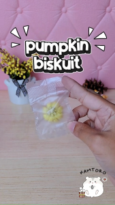 Hamtoro Pumpkin Biscuit Snack Hamster Sugar Glider Landak Mini Tinggi Nutrisi Multivitamin