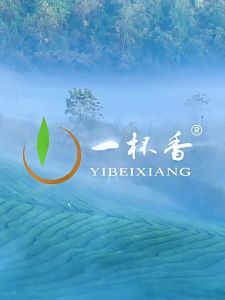 YIBEIXIANG | Trà Xanh Longjing Mingqian Mùa Xuân 100g
