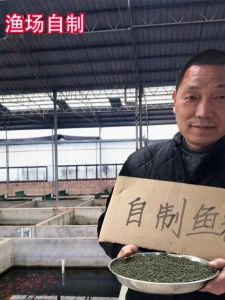 Submersible High Protein Fish Food for Tropical Fish Small Goldfish Koi Betta Fish Color Enhancing Sinkable Pet Food