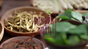 Dầu gội dược liệu nguyên xuân 450ml + 50ml trong chai mẫu mới tiện dụng tiết kiệm phù hợp mọi loại tóc gàu ngứa rụng hư tổn dầu bết