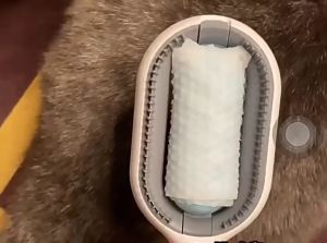 Lược chải lông rụng cho Chó Mèo cải tiến kết hợp dưỡng lông (mẫu mới) - Hara Pet Store