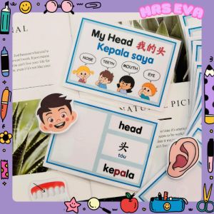Flash Cards Interactive-20 Themes | Trilingual (BM+EN+CN) | Preschool Flash Card | Early Learning