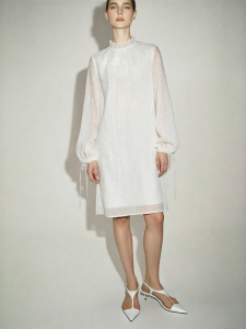 AMII | New Lace Embroidered and Corded Trim Dress