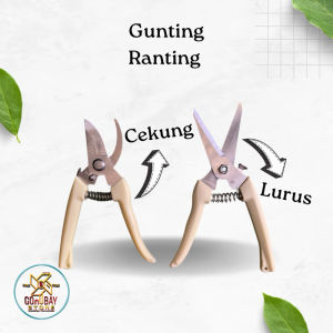 Gunting Taman Bahan Baja Pemotong Dahan Ranting dan Buah Pemotong Kayu