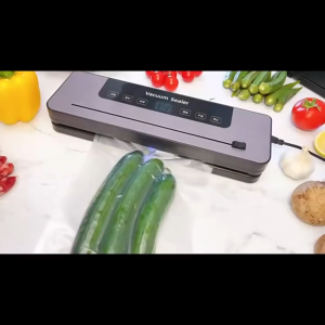 Taffware Alat Vakum Makanan Frozen Food Homemade Basah Kering Vacuum Sealer Packaging Machine 120W