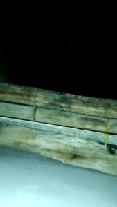 TERLARIS PENGIRIMAN CEPAT COD KOIZUMI Lampu Pancing Joran LED Luminous Waterproof Round Head/lampu pancing malam led tahan air dalam air tahan lama otomatis multifungsi serbaguna canggih murah/ALAT PANCING CEPAT DAPAT IKAN