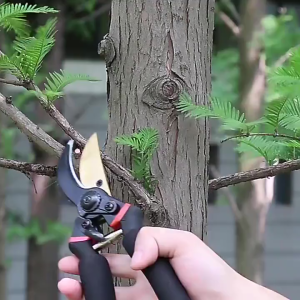 Gunting Dahan Ranting Stainless Steel Profesional  Tajam & Menebal untuk Kebun/Pohon Pemotong Ranting Kayu Pruning Shears Serbaguna