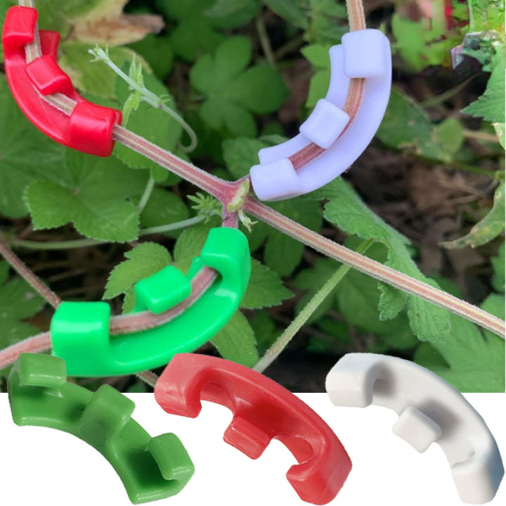 Lot De 60 Clips D'entraînement Pour Plantes, Angle Réglable à