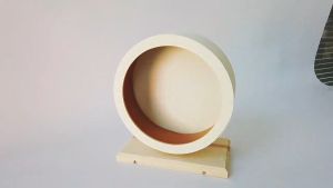 🇸🇬 Wooden Exercise Wheel for Hamsters Mice Gerbils Rats Silent Running Spinner Balance Wheel Toy