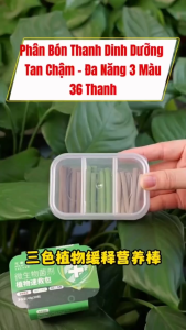 Thanh Phân Bón Cây Tan Chậm Đa Năng 3 Màu - Kích Rễ Kích Nụ Cải Tạo Đất Chậu hộp 30 Thanh