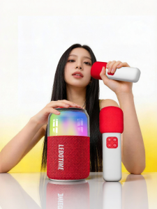 LEDO | Bluetooth Karaoke Microphone & Speaker for Family Outdoor Use
