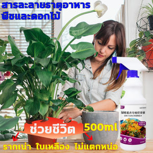 พืชและดอกไม้ 500มล เร่งแตกยอด เร่งโตไว เร่งต้นใบ ปูกูล ปูนูสาม ปูนูเจียว ปูนูทางบริเวณ เพื่อให้สวยงามและความงาม