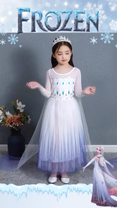 [SG Seller] ❄️ Elsa Princess Dress 👑Frozen 2 Anna Costume Kids Party Gown | High Quality Comfortable