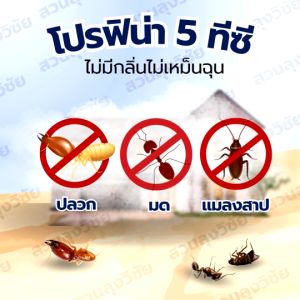 หัวเชื้อน้ำยากำจัดปลวกแบบตายยกรัง มี อย.จดแจ้ง ปลอดภัย ไม่มีกลิ่น ป้องกันได้นานกว่า 3 ปี ออกใบกำกับได้