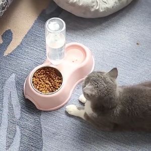 ชามอาหารและน้ำสัตว์เลี้ยง ชามคู่ใส่อาหารและน้ำ พร้อมขวดน้ำ สำหรับหมา แมว อุปกรณ์สัตว์เลี้ยง ชามน้ำอัตโนมัติ D&C House