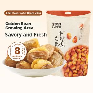 LAIYIFEN | Beef Flavor Roasted Broad Beans 205g