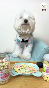 Luscious Premium Dog Biscuit Dog Treats Pet Milky Biscuit Dog Milky Pet Biscuit Healthy Dog Biscuit