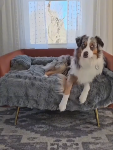 Teeker Pet Calming Dog Bed Fluffy Plush Puppy Mat for Furniture Protector with Washable Cover Cozy Furniture Solution with Raised Design for Small Medium Large Dogs and Cats