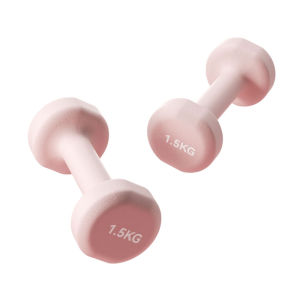 Runwe | Fitness Dumbbells 2kg Each