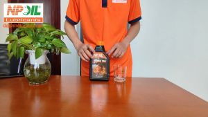 Dầu Nhớt Xe Máy RODON 300 - API SN - 5W40/5W30 Fully Synthetic - 1L