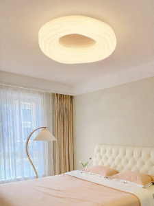 DGY | Modern Simple Cozy Ceiling Light