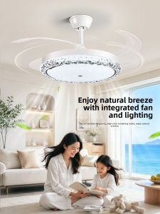 DGY | Eye-Protective Invisible Ceiling Fan Light
