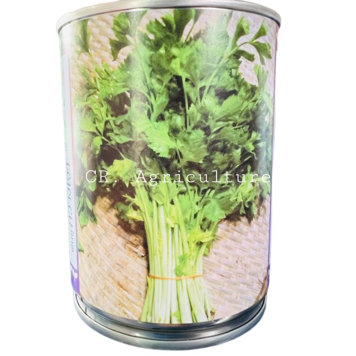 ตราลูกโลก ขึ้นฉ่าย พันธุ์กวางเจา 100,000 เมล็ด กอใหญ่ ต้นสูง