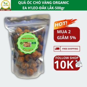 Quả óc chó vàng thơm ngon thượng hạng giàu dinh dưỡng
