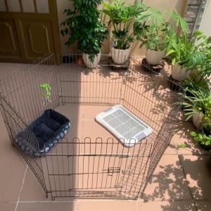 Chuồng quây Chó gấp gọn tiện lợi chắc chắn chất liệu vân đá không gỉ