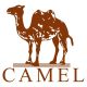 Camel Sports & Outdoors