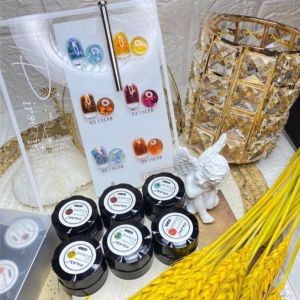 Set gel nhũ hổ phách Huaxi 6 màu tặng kèm bảng màu ( gel nhũ ẩn galaxy )