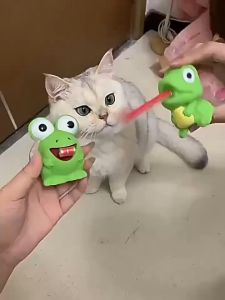 เล่นบีบสกุชชี่ รูปกบ Dino Tongue สำหรับเด็ก กับเล่นคลายเครียด