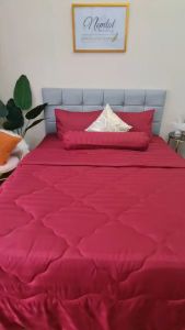 💎MÃ MÀU MỚI💎 Bộ Chăn Ga Gối Cotton Lụa Khách Sạn Sọc Vân Nổi 3F Cao Cấp Sang Trọng Mát Mềm Mịn_Nemtot Bedding HCM